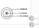 注视性质应该作为斜弱视专科的基础检查项目